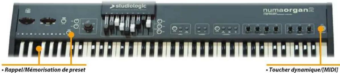 Studiologic Numa Organ 2 - Égaliseur/Volume - 1