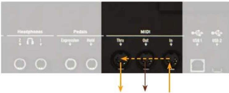 Studiologic Numa Organ 2 - Connexion MIDI - 1