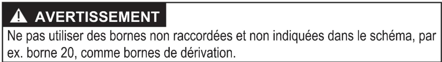 IFM DL0203 - Raccordement des bornes - 3