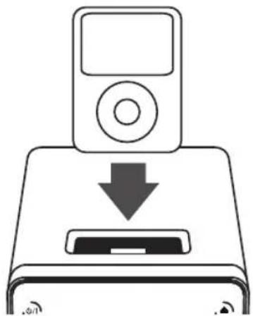 LG FA166DAB - Lecture de l'iPod - 1