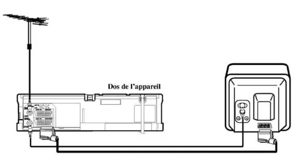 Dos de l'appareil