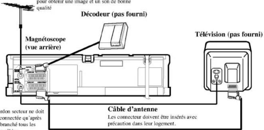 pour obtenir une image et un son de bonne qualité Décodeur (pas fourni) Magnétoscope (vue arrière) Télévision (pas fourni) Câble d'antenne Les connecteur doivent être insérés avec précaution dans leur logement.