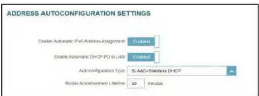D-LINK Eagle Pro AI G415 - Paramètres avancés... Paramètres de configuration automatique de l'adresse - 2