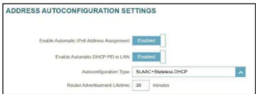 D-LINK G403 - Paramètres avancés... Paramètres de configuration automatique de l'adresse - 1