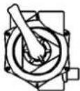 ASTRALPOOL Delta - SELECTOR VALVE - 3