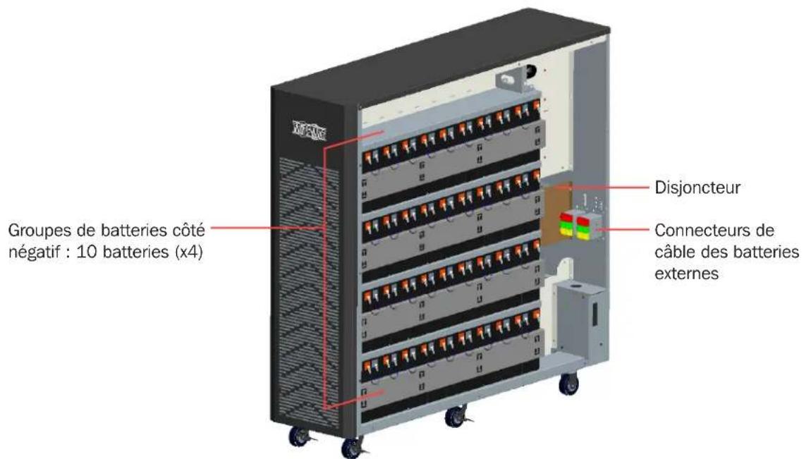 Tripp Lite BP240V09NIB - Connexion des batteries - 2
