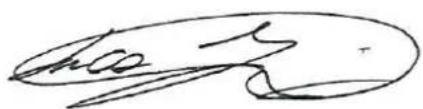 Handwritten signature or scribble on a stylized oval shape, possibly a signature or artistic mark