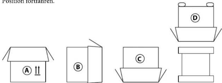 Position foriamen. A ↑ B C D