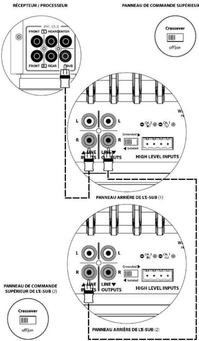 JL Audio ESub - Entrées ligne - 3