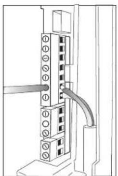 Carel compactSteam - Steuerverdraughtung - 1