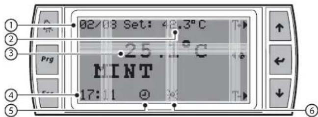 Carel humiSteam - "Simple screen" - 1
