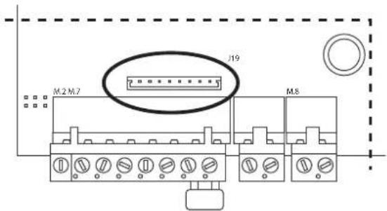 Carel humiSteam xplus - Réseau de supervision (J19) - 2