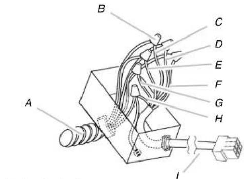 ELICA Leone ELI142S1 - Conexión electrica entre la campana y el sistema de soplador en linea - 3