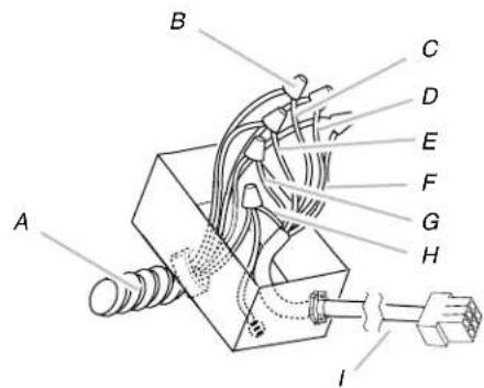ELICA Leone ELI142S1 - Make Electrical Connection Inside Range Hood Between In-Line Blower System and Range Hood - 10