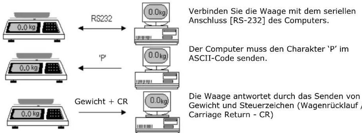 Sammic 340020 - GEWICHT VOM COMPUTER ABLESEN. - 1