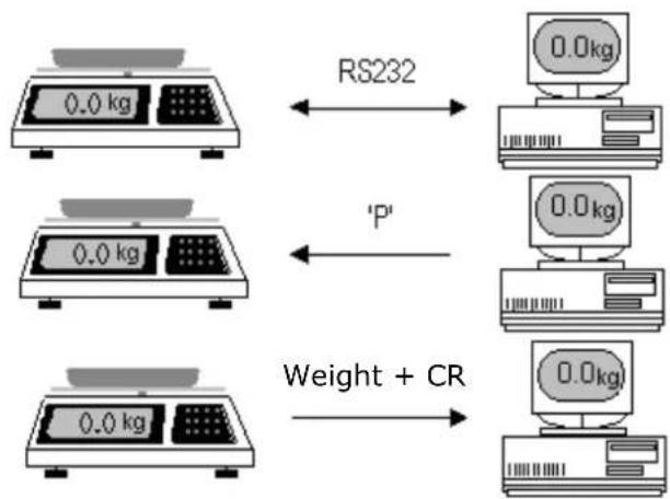 Sammic 340020 - HOW TO READ WEIGHT FROM THE COMPUTER. - 1