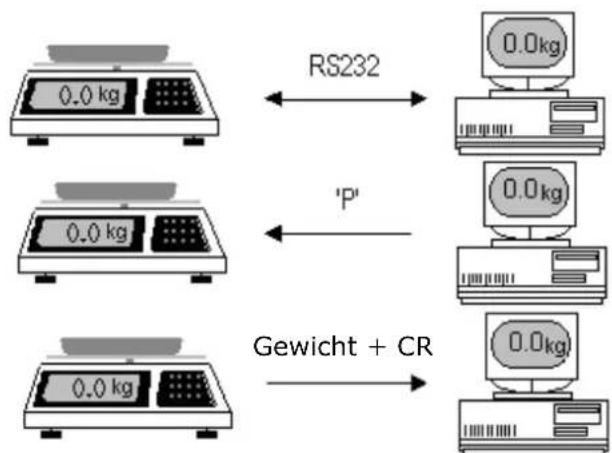 Sammic 340022 - GEWICHT VOM COMPUTER ABLESEN. - 1