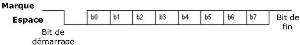 Sammic 340022 - COMMENT LIRE LE POIDS SUR L'ORDINATEUR. - 2