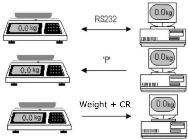 Sammic 340022 - HOW TO USE THE "TARE" (KEYPAD/FOOTSWITCH) - 1
