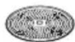 BOSCH MUM50131 - Disco grattugia - medio-fine - 1