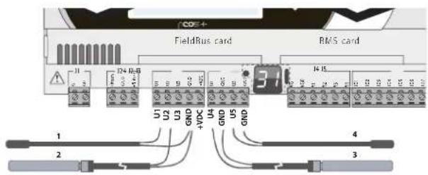 Carel pCO5+ HS - Raccordement des sondes de température NTC, PTC - 1