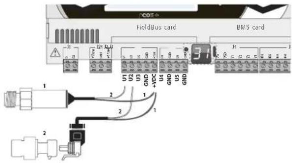 Carel pCO5+ HS - Raccordement des sondes de pression en courant - 1
