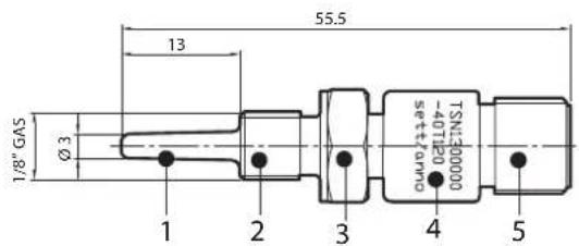 Carel PT1000 - Modell TST1300000 - 1
