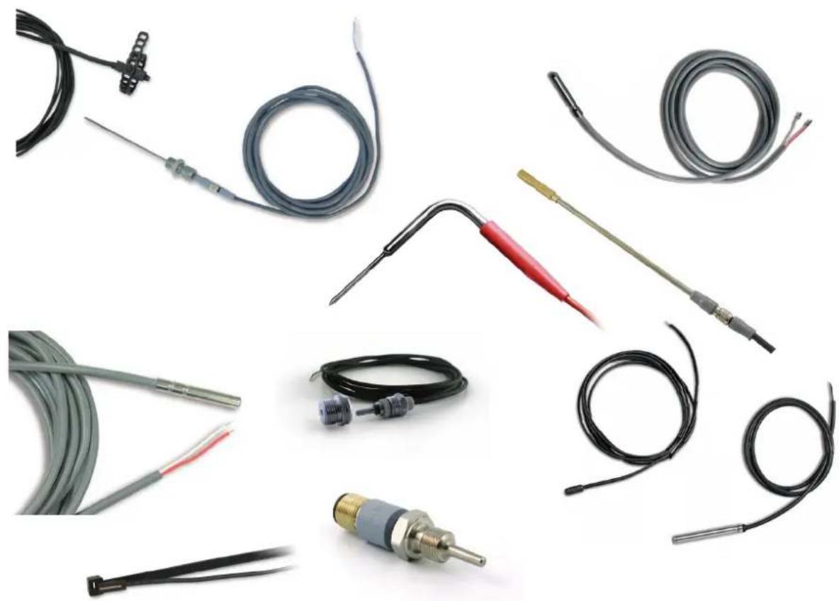 Carel PT1000 - Capteurs de temperature passifs Passive Temperaturfühler - 1