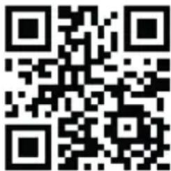 PRIMO PR139DV - WEBSHOP - 2