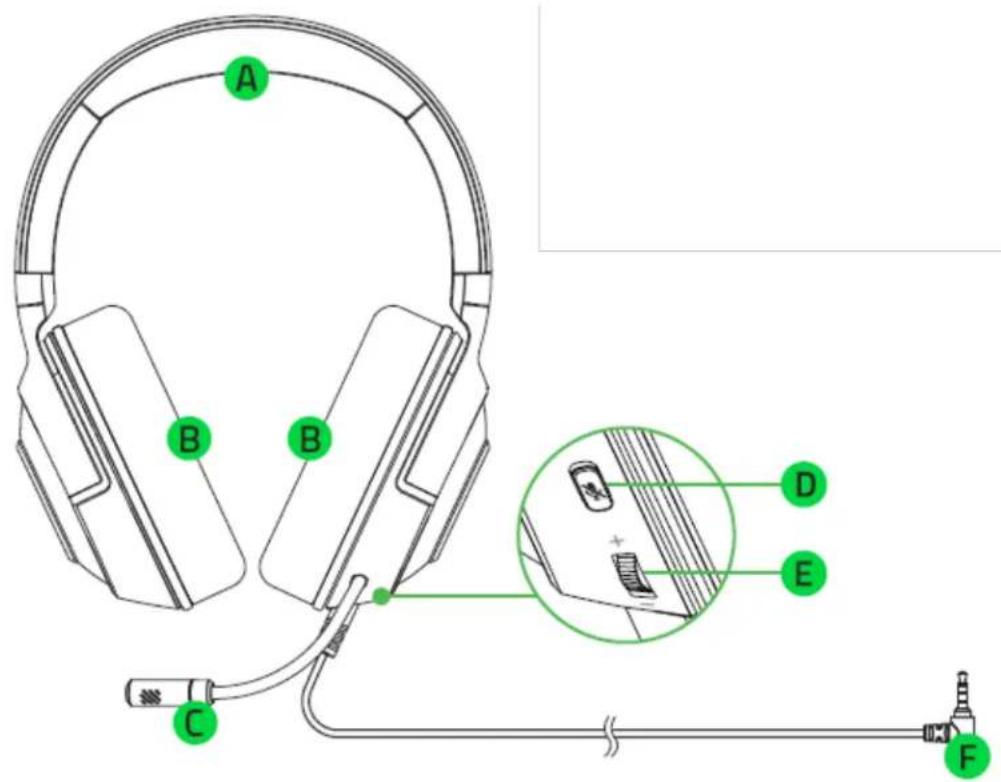 RAZER Kraken X for Xbox - CE QUI VOUS ATTEND - 1