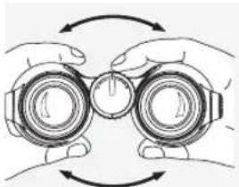 Swarovski EL 10 x 42 - ADJUSTING THE INTERPUPILLARY DISTANCE - 1