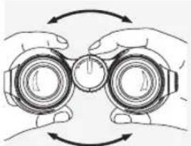 Swarovski EL 10 x 42 - PEGYINPOBKA MEXK3PAUKOBOTO PACCTOHN - 1