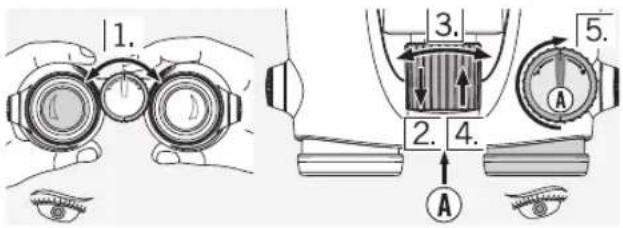 Swarovski EL 10 x 42 - Verwendung bei entsprechlicher Sehkraft beider Augen: - 1