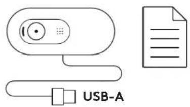 LOGITECH C505e - USB-A כרְשׁה - 1