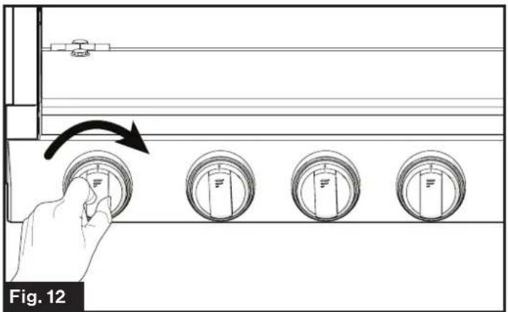 Fig. 12