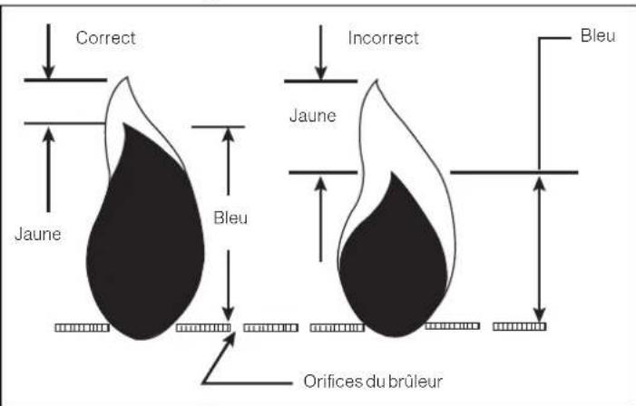Furrion FGL202ASS - La flamme du brûleur - 1