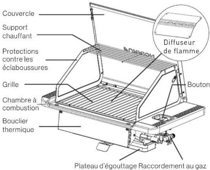 Furrion FGL202ASS - Burner Cleaning Advice - 2
