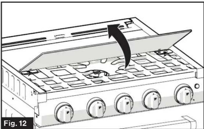 Furrion F1S21L02ASS - Standard Ignition - 1