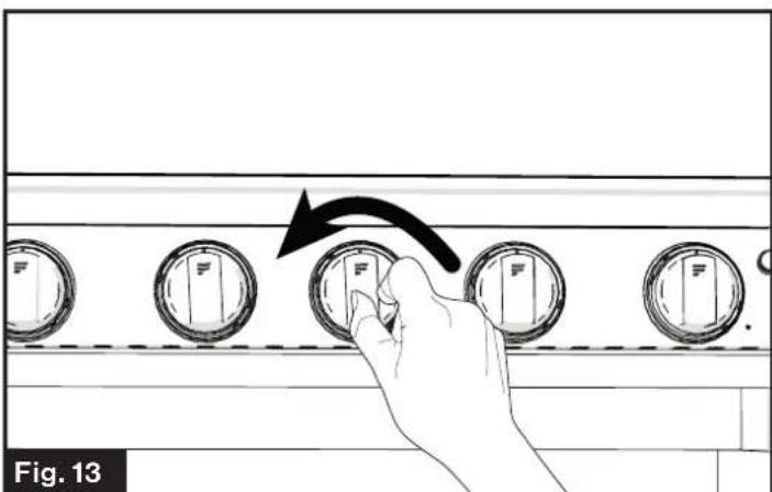 Furrion F1S21L02ASS - Standard Ignition - 2