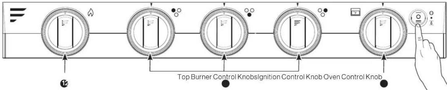 Furrion F1S21L02ASS - Light Control - 1