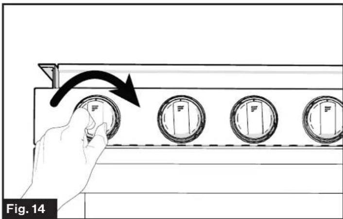 Furrion F1S17L02ASS - Standard Ignition - 3