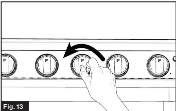 Furrion F1S17L02ASS - Standard Ignition - 2