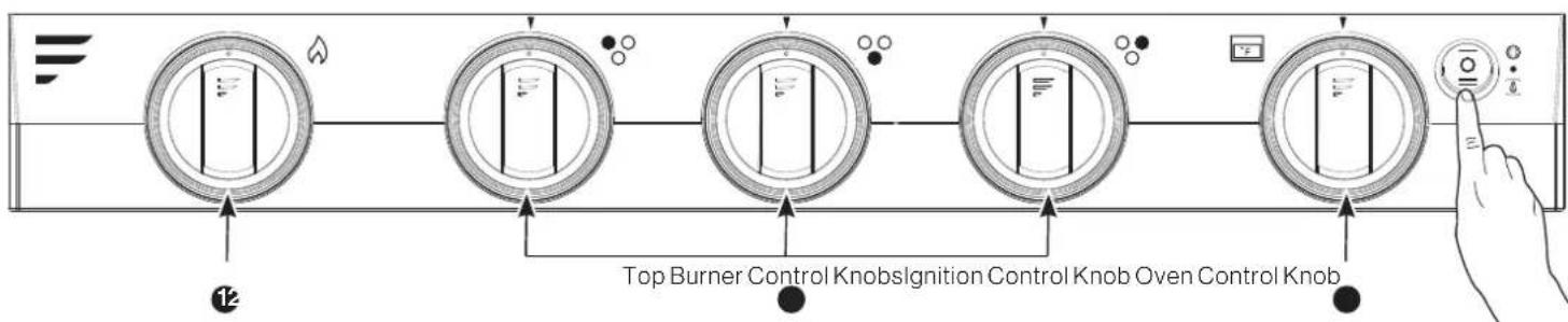 Furrion F1S17L02ASS - Light Control - 1