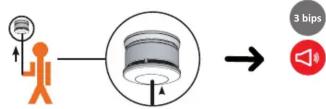 CHACON LB34236 - 1- Test de bon fonctionnement - 1