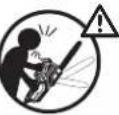 Sun Joe 24VX2CS16MAX - Safety Symbols - 11