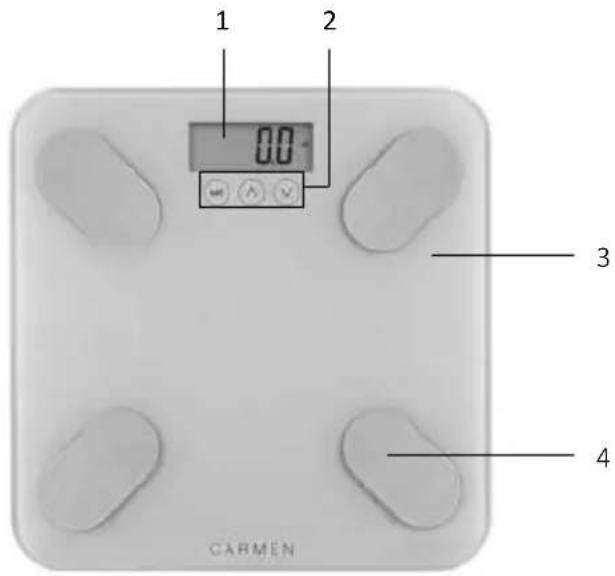 Carmen CBS0301P - Appliance description - 2