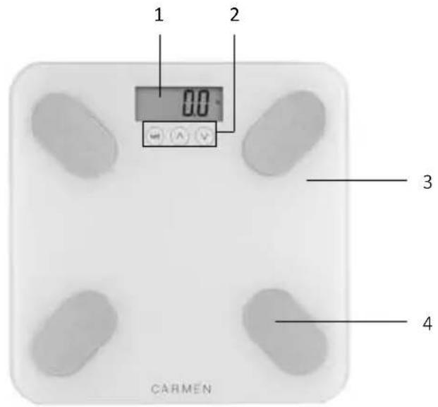 Carmen CBS0301W - Beschreibung des Geräts - 2