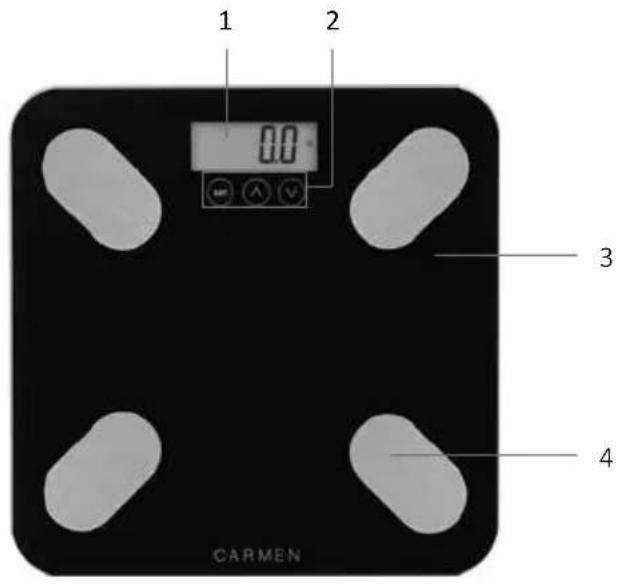 Carmen CBS0301B - Beschreibung des Geräts - 2