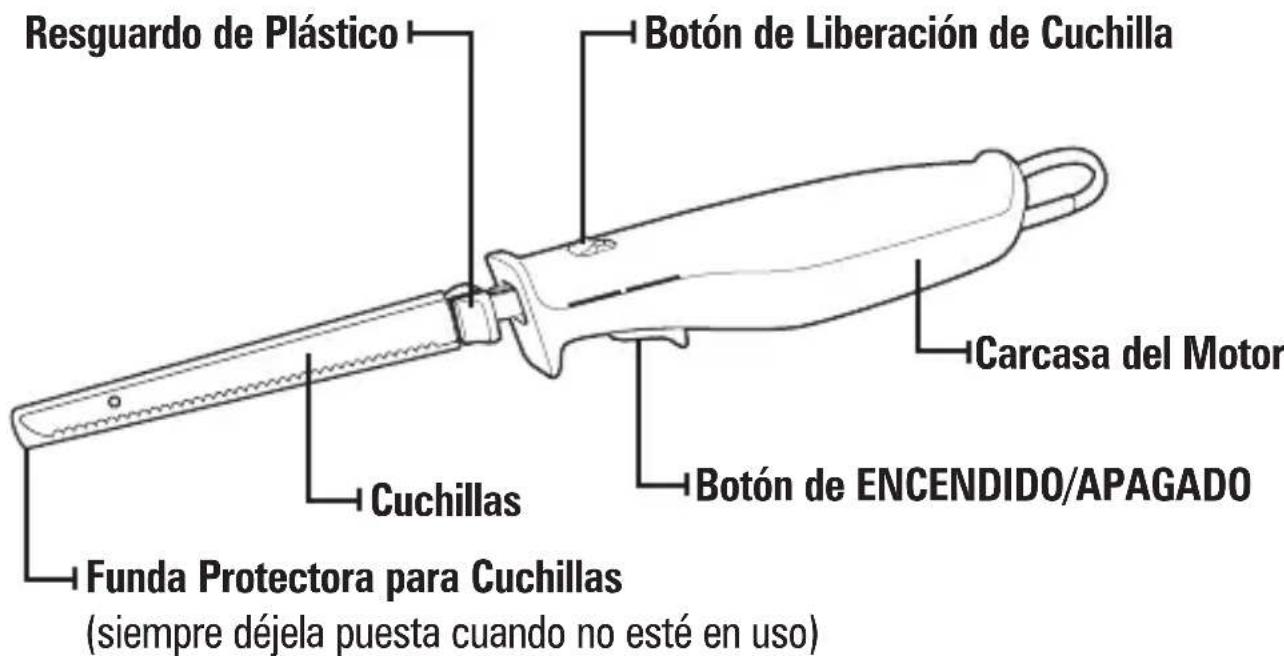 PROCTOR SILEX 74311PS - Partes y Caracteristicas - 1