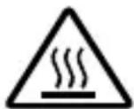 PROCTOR SILEX 26100 - SALVAGUARDIAS IMPORTANTES - 1